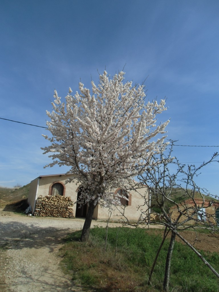 Bodega tradicional en mozondiga