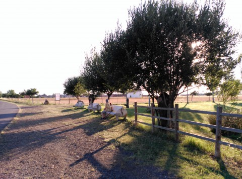 8- LAGUNA ENTRADA DE VILLAR DE MAZARIFE