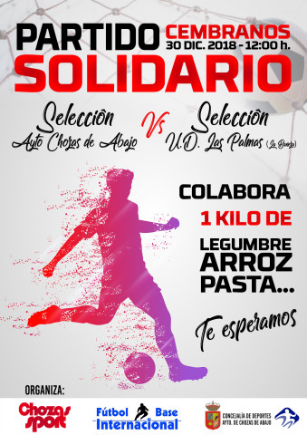 cartel partido solidario