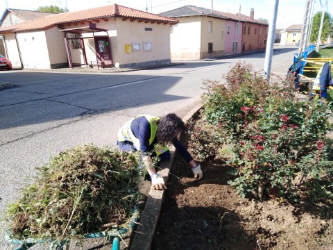 LI,MPIEZA PARTERRE