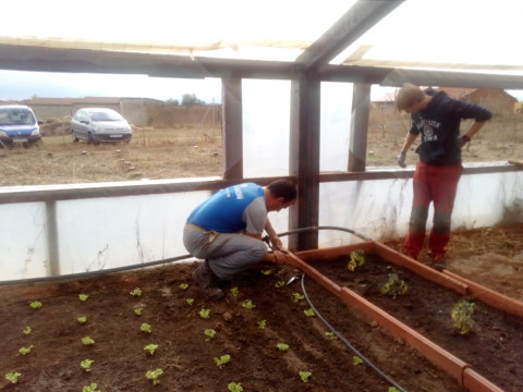 Riego y Plantacion