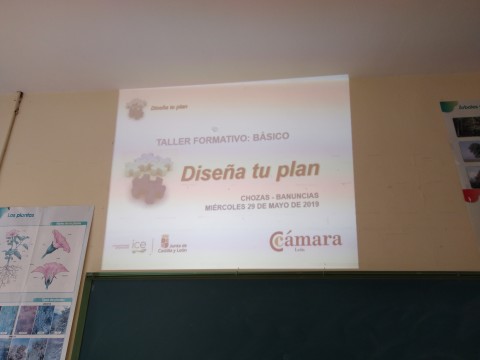 autoempleo (3)