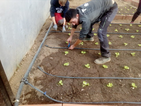 riego y plantacion 1