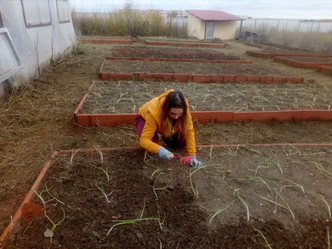 riego y plantacion 3