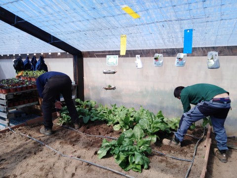 tercera entrega alimentos (2)