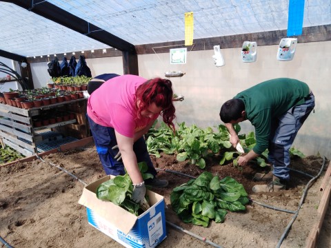 tercera entrega alimentos (3)